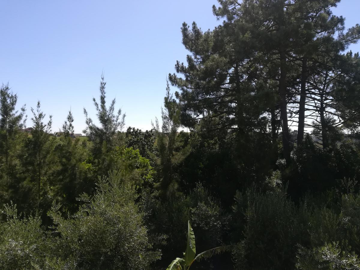 Quinta Vale Real Villa Alcobaça Buitenkant foto